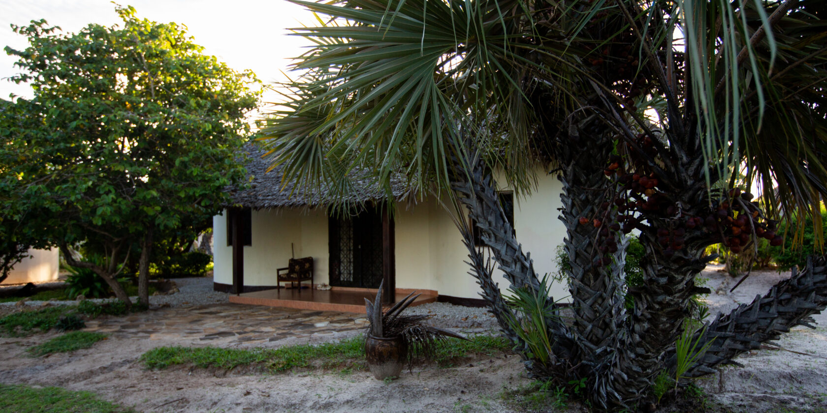 One of the bungalows at TICC, with palms and trees around